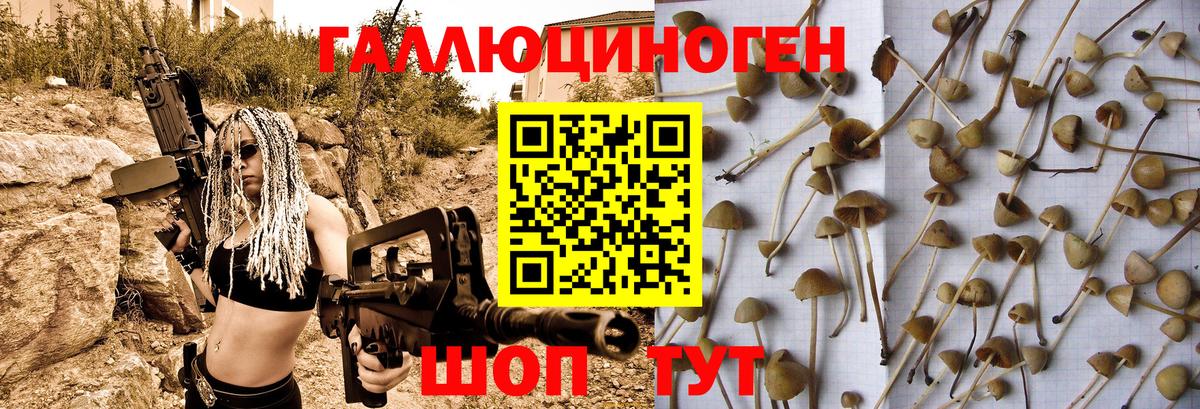 Галлюциногенные грибы Magic Shrooms Луга
