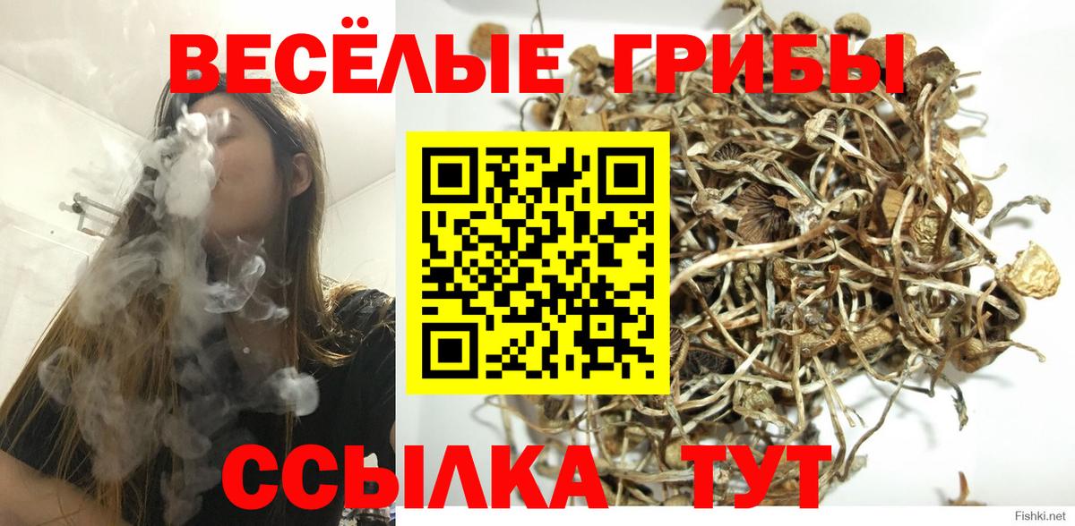 Галлюциногенные грибы ЛСД  Галлюциногенные грибы MAGIC MUSHROOMS  Вход с VPN  Луга 